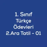 1.Sınıf Ara Tatil Türkçe Ödevi – (2.Dönem – 01)